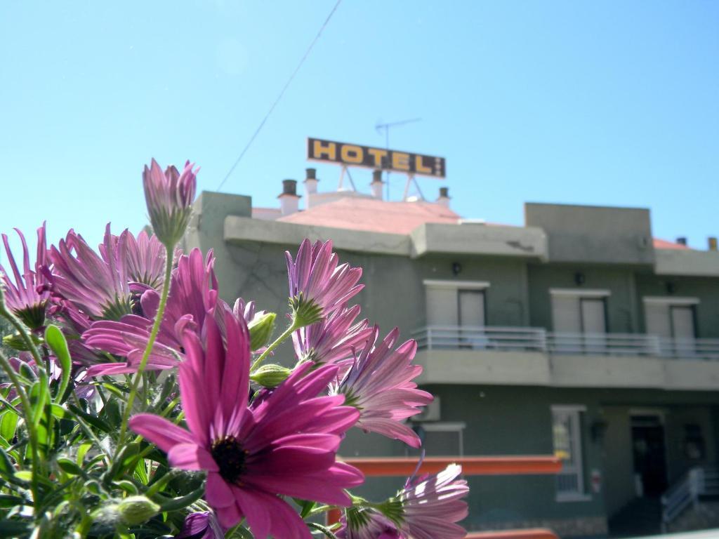 Hotel Restaurante Las Galias Zuera 외부 사진
